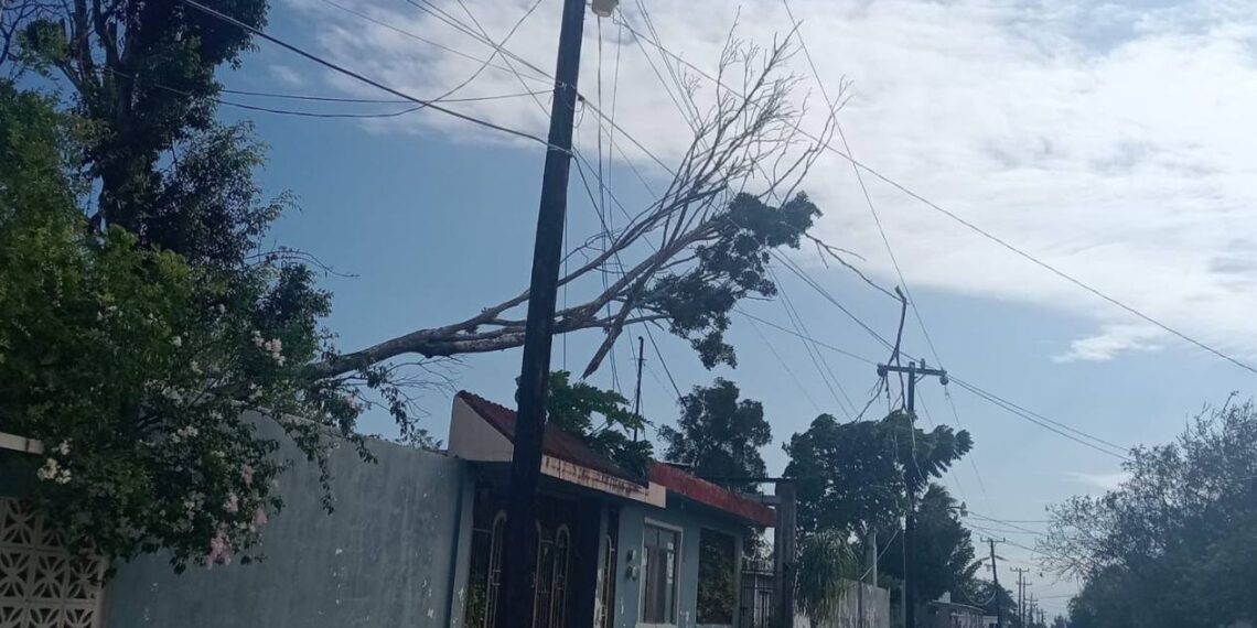 frente frío 11 en tamaulipas