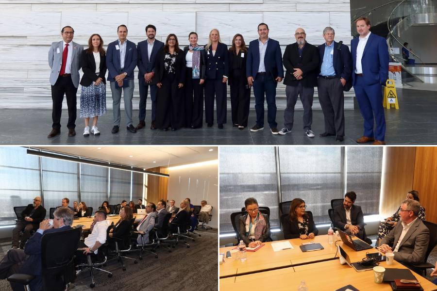 generación de bonos de carbono en tamaulipas