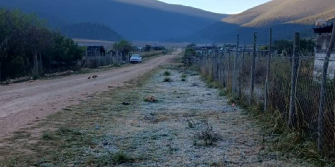 helada en Miquihuana