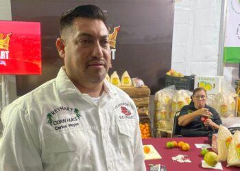 hoja de maíz para tamal