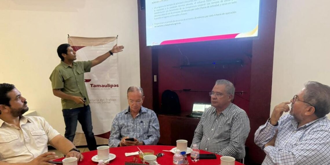 ley silla en construcción en tamaulipas