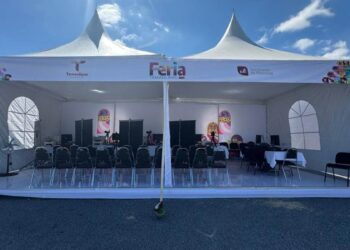 licencias de conducir en Feria Tamaulipas