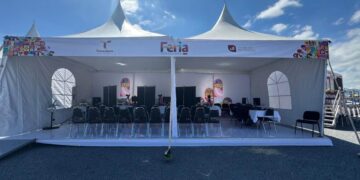 licencias de conducir en Feria Tamaulipas