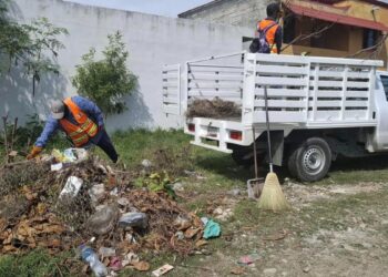 limpieza de áreas verdes Ciudad Victoria