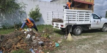 limpieza de áreas verdes Ciudad Victoria
