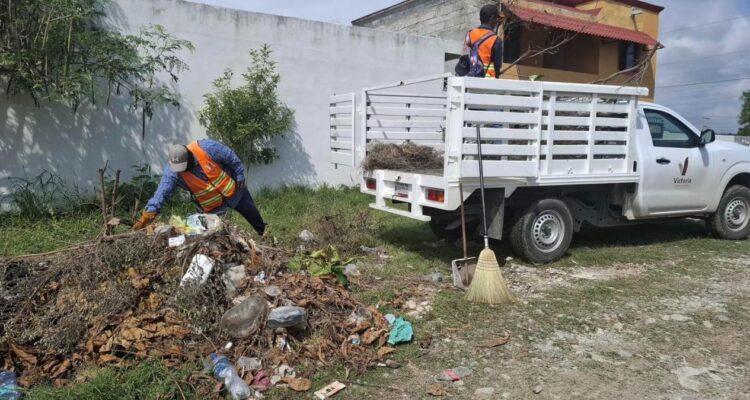 limpieza de áreas verdes Ciudad Victoria