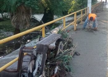 limpieza en Ciudad Victoria