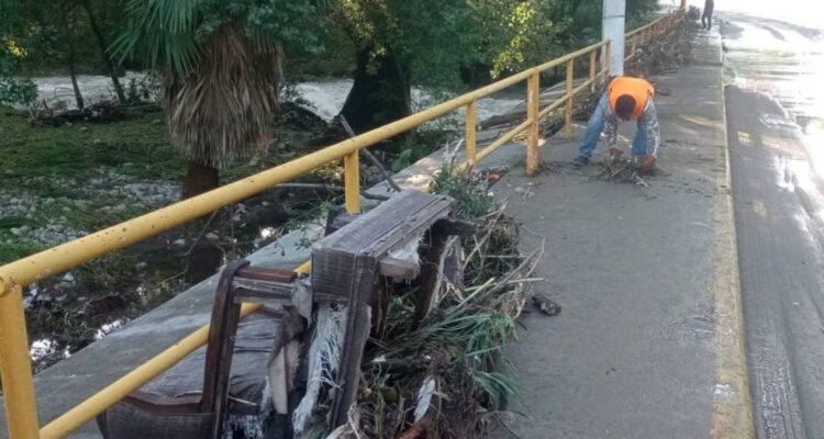limpieza en Ciudad Victoria