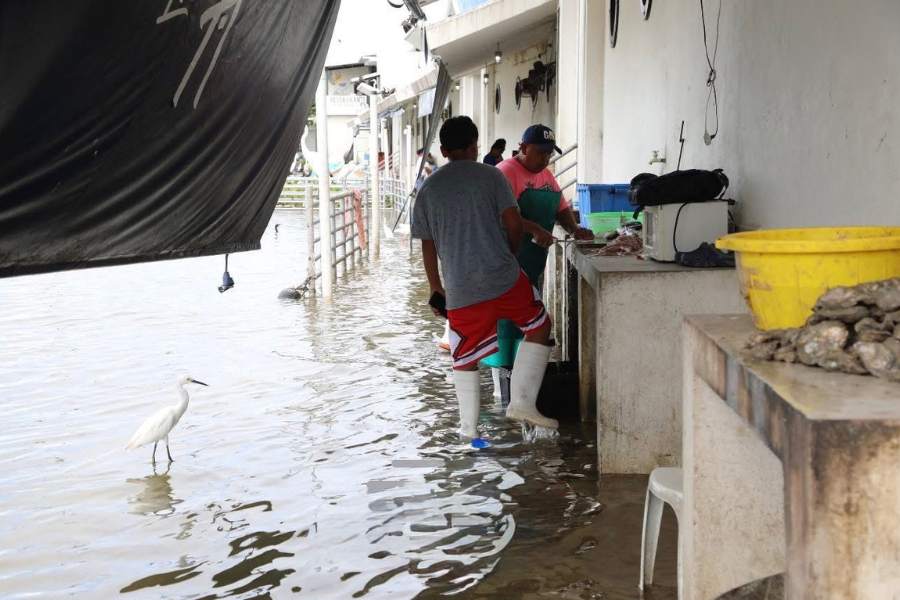 muelle inundado en Tampico