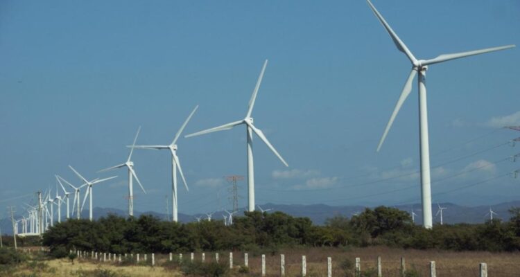 parque eólico en Tamaulipas