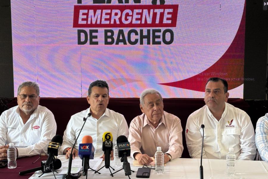 plan de bacheo en ciudad victoria