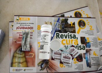 prevención del gusano barrenador en tamaulipas