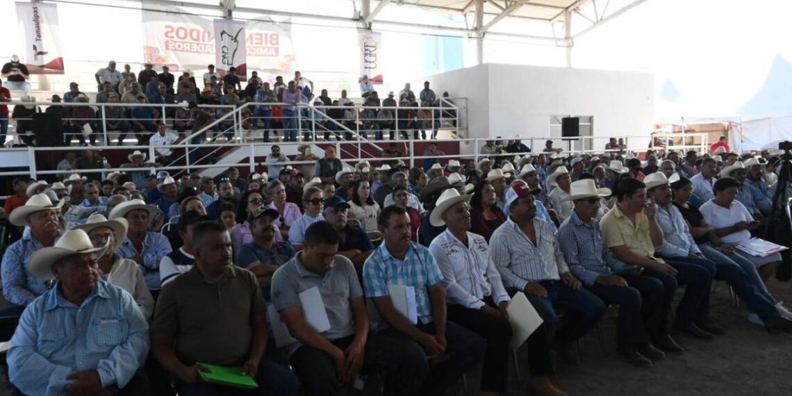 productividad de la ganadería tamaulipeca