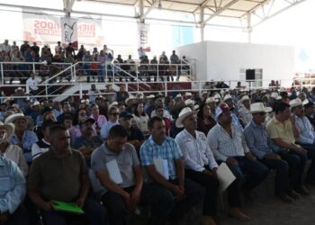 productividad de la ganadería tamaulipeca