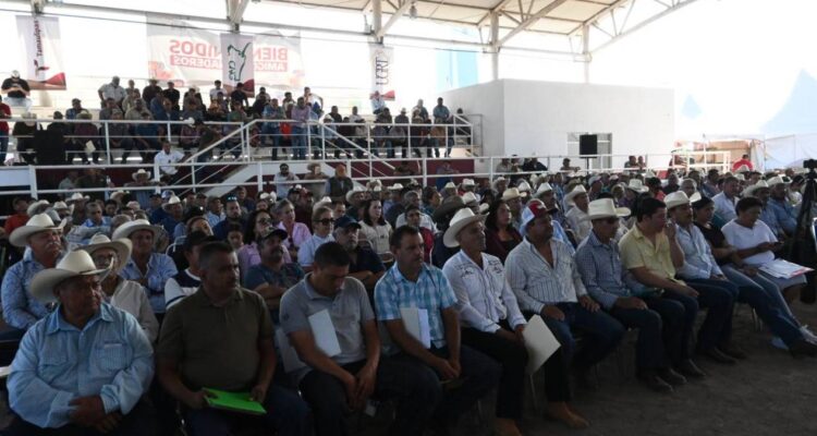 productividad de la ganadería tamaulipeca