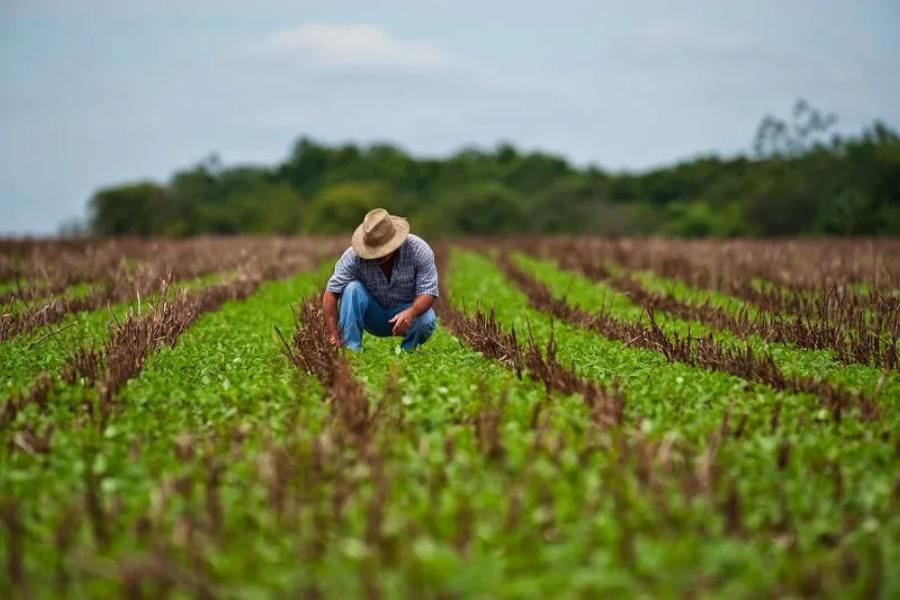 productores de tamaulipas en protesta nacional