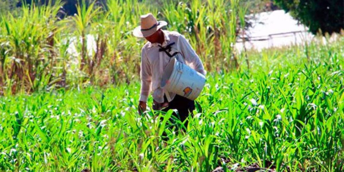 productores de tamaulipas en protesta nacional