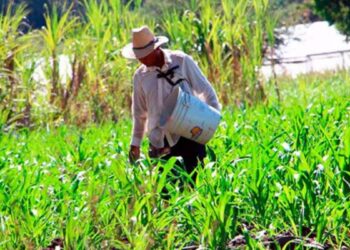 productores de tamaulipas en protesta nacional