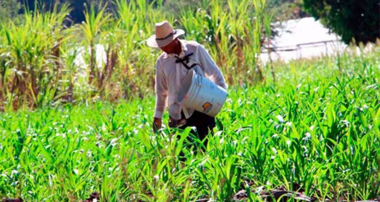 productores de tamaulipas en protesta nacional
