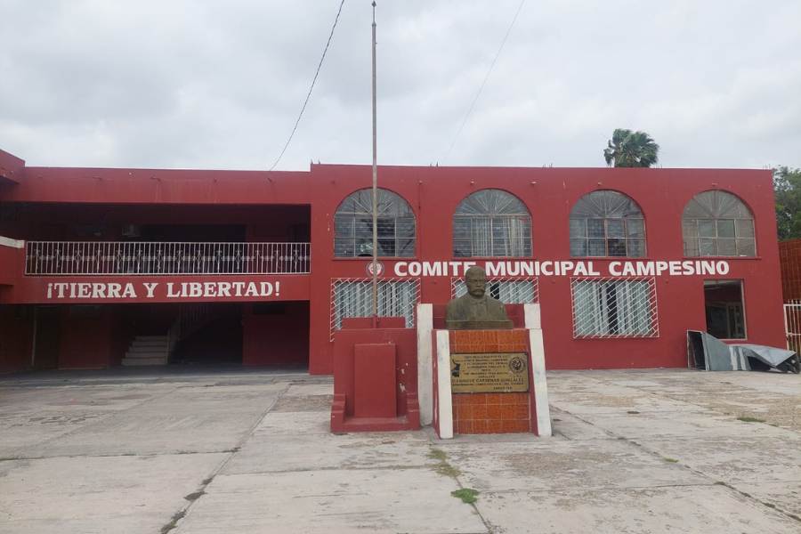 semilla de sorgo en matamoros
