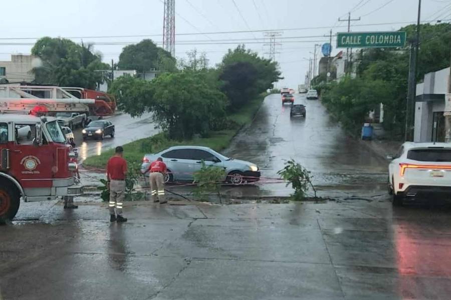socavones en sur de Tamaulipas