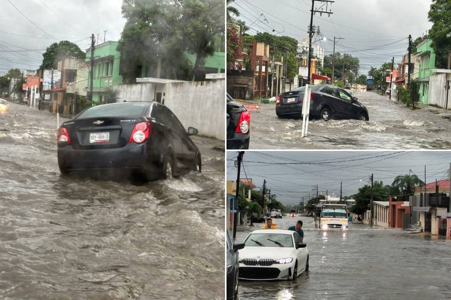 socavones en sur de Tamaulipas