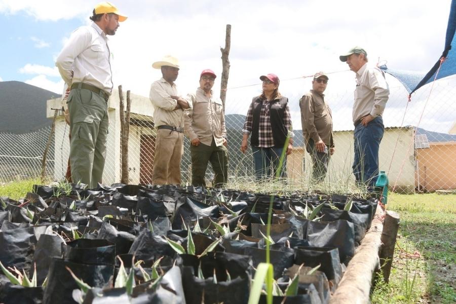 temporada de caza y pesca Tamaulipas