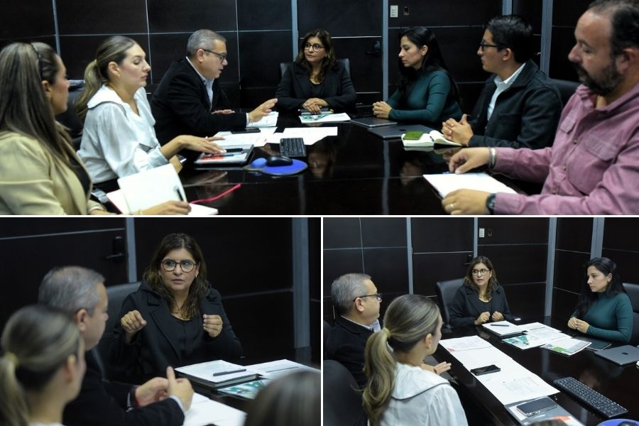 unidades híbridas Tamaulipas