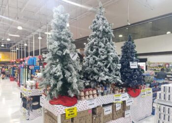 venta de artículos navideños en ciudad victoria
