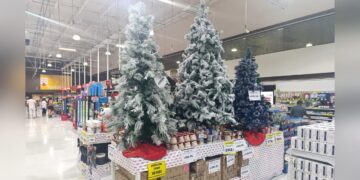 venta de artículos navideños en ciudad victoria