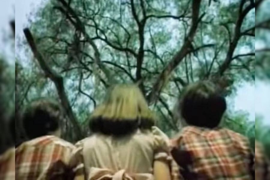 Vacaciones de Terror gratis