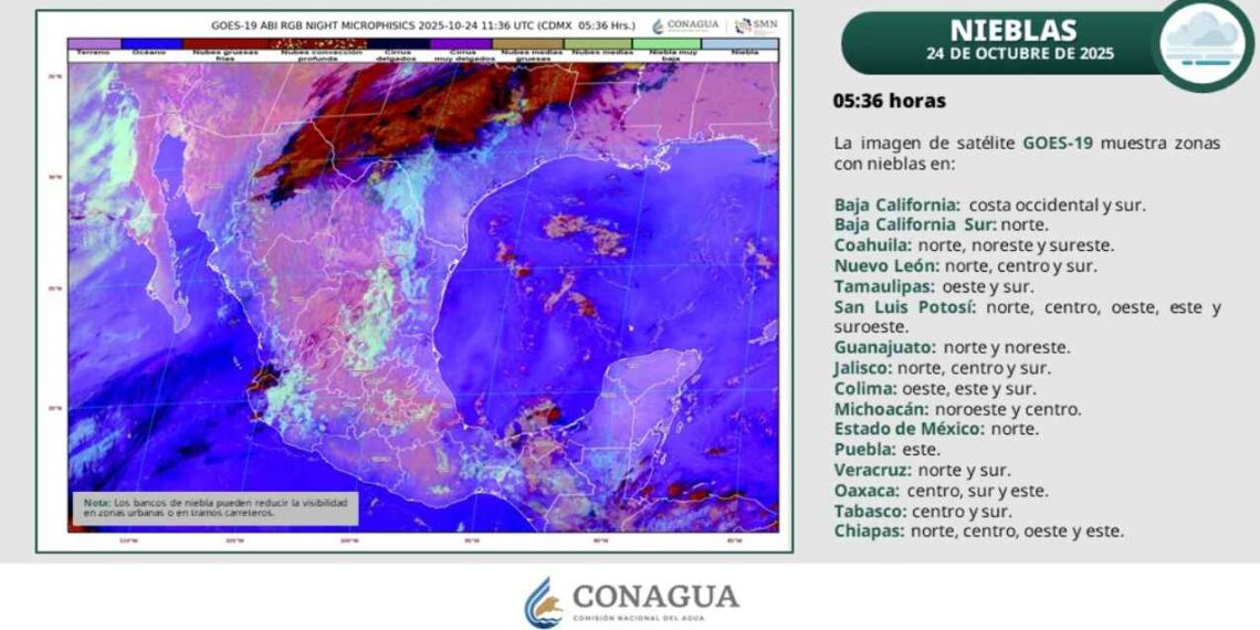 ¿Cómo afectará la llegada de un canal de baja presión a Tamaulipas?