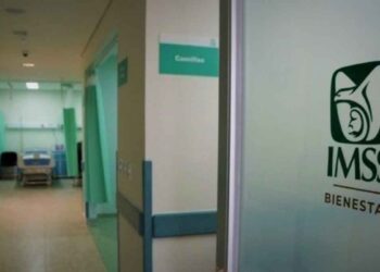 ¿Cómo inscribir a tus familiares en el IMSS si vives fuera del país