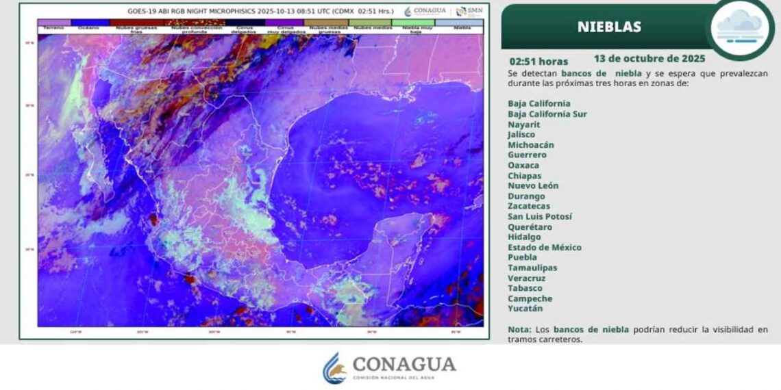 ¿Habrá lluvias ligeras o calor intenso? Así estará el clima en Tamaulipas HOY