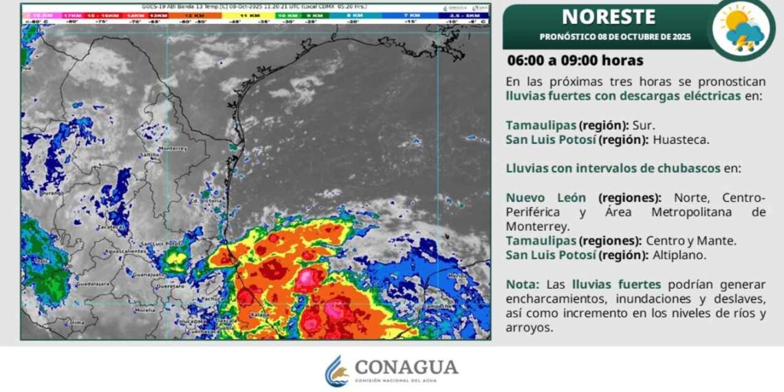 ¿Huracán Priscilla afectará a Tamaulipas con rachas de viento y lluvias torrenciales?