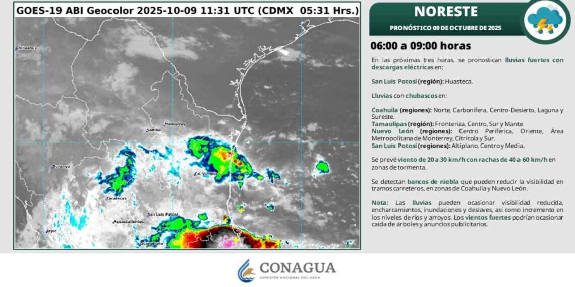 ¿Prevén fuertes lluvias o clima cálido en Tamaulipas?
