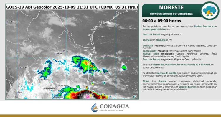 ¿Prevén fuertes lluvias o clima cálido en Tamaulipas?