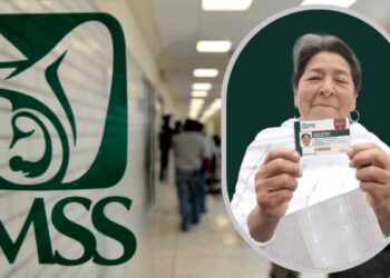¿Quieres atención médica y medicamentos sin costo Así puedes obtener tu credencial del IMSS Bienestar