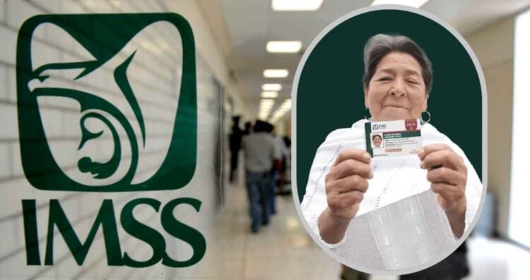 ¿Quieres atención médica y medicamentos sin costo Así puedes obtener tu credencial del IMSS Bienestar