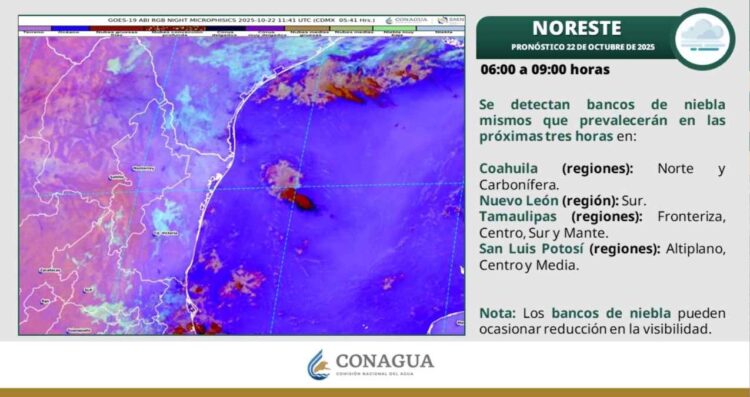 ¿Tamaulipas tendrá temperaturas de hasta 35 grados y lluvias dispersas?