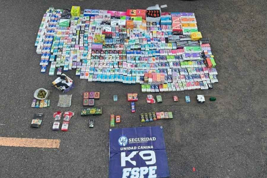 Agente canino detecta más de 700 vapeadores y drogas en paqueteria de Salamanca