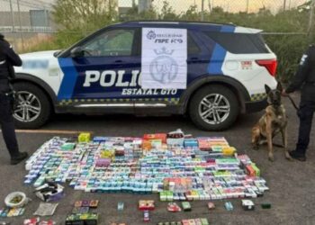 Agente canino detecta más de 700 vapeadores y drogas en paquetería de Salamanca