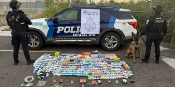 Agente canino detecta más de 700 vapeadores y drogas en paquetería de Salamanca