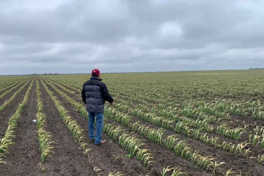 Agricultores de Tamaulipas advierten un 2026 difícil para el campo
