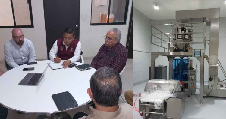 Tamaulipas procesos de nixtamalización
