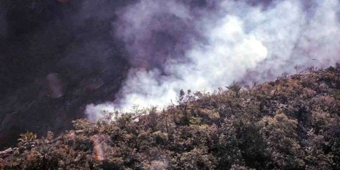 Brigadistas combaten incendio forestal en el Cerro de las Mitras, Monterrey, NL