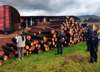 Diputados penas ambiental