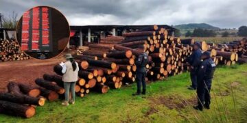 Diputados penas ambiental