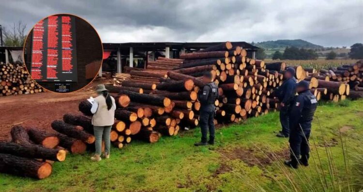 Diputados penas ambiental