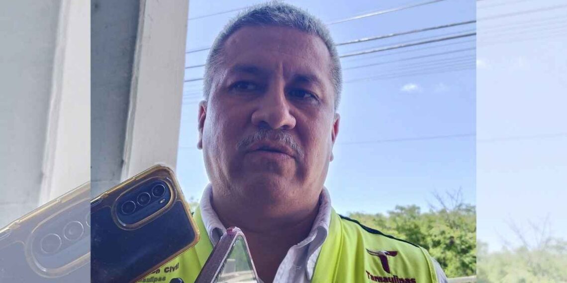 Censo de cocodrilos en la zona conurbada del sur de Tamaulipas alcanza el 60%